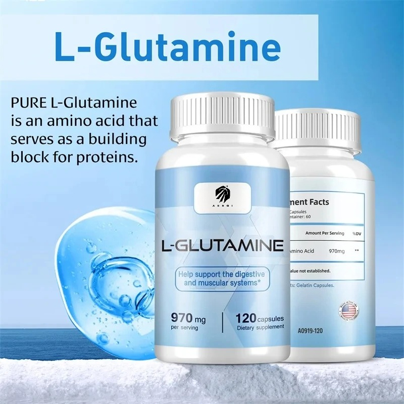 Suplemento L-Glutamina para tr - Nutrition Fitness Supplements avaliação e preço