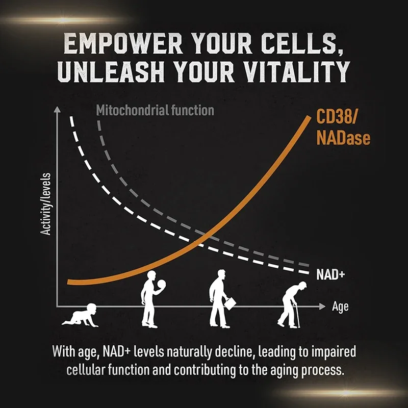 Suplemento Liposomal NAD - Ali - Pre Workout Supplement avaliação e preço